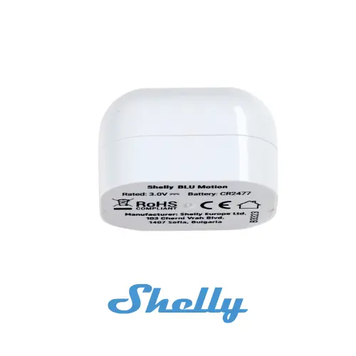 einfach_shelly_motion_3.webp